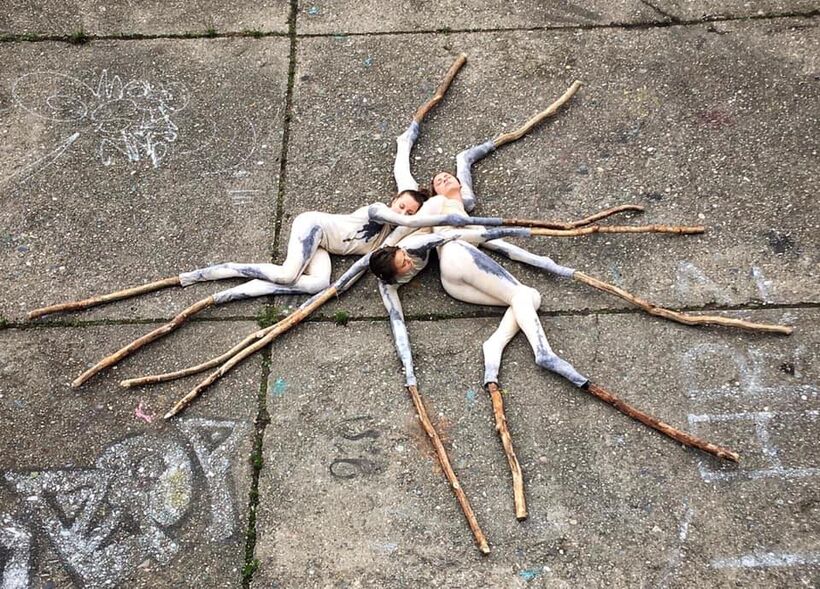 Taxon One. Foto: Michal Hančovský.